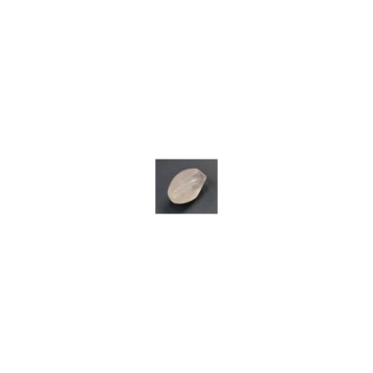 Rozenquartz - Grof geslepen - Glad - 10 x 16 mm - Roze - per streng